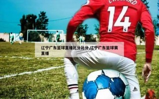 辽宁广东篮球直播比分比分,辽宁广东篮球赛直播